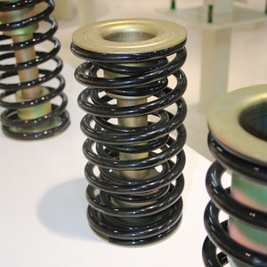 Pneumatic valve actuator spring